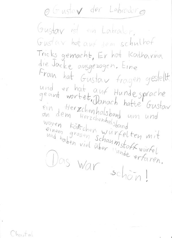 Klicken zum Vergrößern